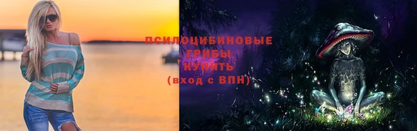 ГАЛЛЮЦИНОГЕННЫЕ ГРИБЫ Абдулино