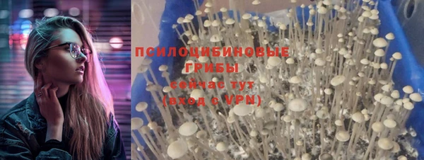молекула духа Абинск